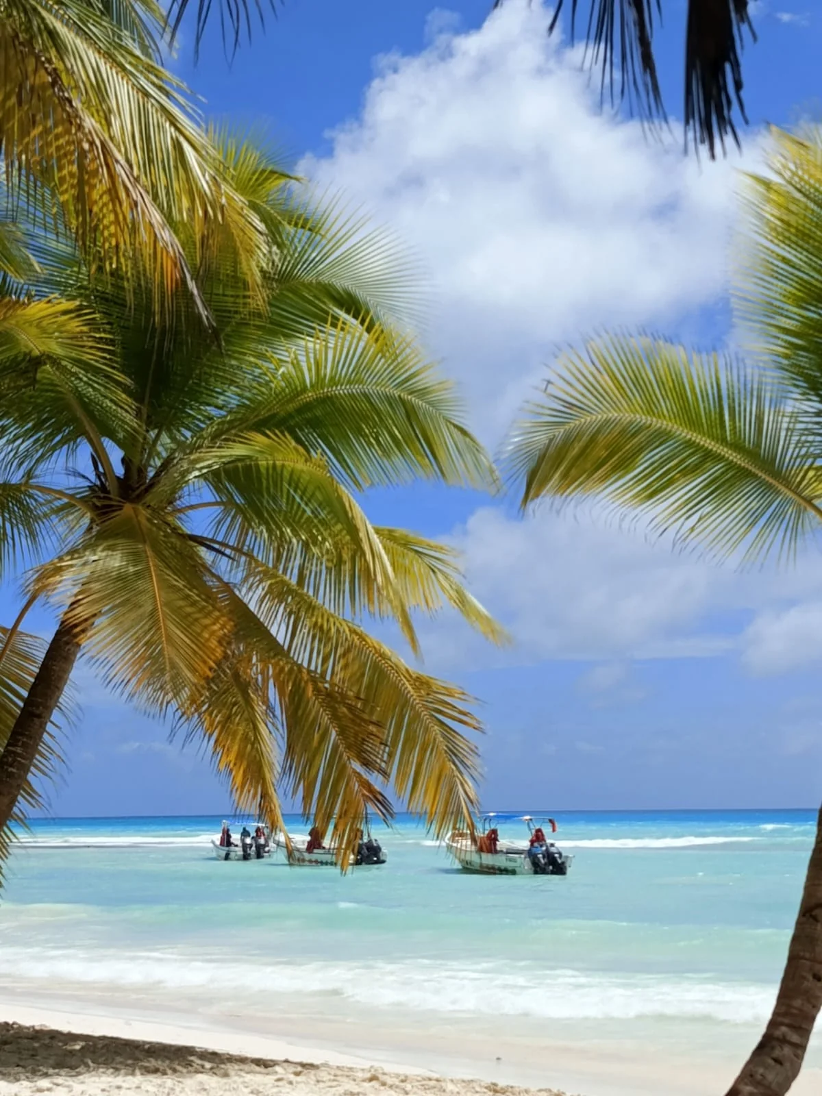 República Dominicana — fotografía 1